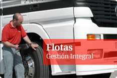 Flotas